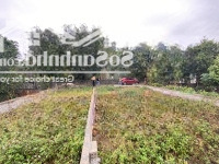 Bán 113M2 Mặt Tiền 7M Sát Khu Đh An Ninh, Có View Hồ Sen Thoáng Mát. Liên Hệ: 0962575568