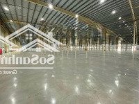 Cho Thuê Xưởng 16.200M2 Ngoài Kcn Tại Tân Uyên, Bình Dương - Pccc Tự Động, Điện 1000Kva