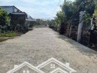 Bán Đất Xã Xuyên Mộc, Diện Tích: 288M2 Ngang 10Mx29M Có 80M2 Thổ Cư, Đang Trồng Nhãn Xuồng Khu Dân Cư