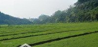 Được Mệnh Danh Là: Chốn Tiên Cảnh Bồng Lai Tọa Lạc Ngay Tại Lương Sơn Hòa Bình