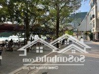 Biệt Thự Hồ Tây Phố Vũ Miên 170M2 Giá Bán 49 Tỷ