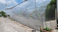 Chính Chủ Bán Gấp Lô Đất 201,9M2, Xây Dc Dãy Trọ Tai Nguyễn Thị Lắng, Xã Phước Vĩnh An, Củ Chi, Hcm