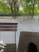 Chính Chủ Bán Biệt Thự Vườn Bùi Đình Điệt Củ Chi, 2357M Có 300 Thổ Cư Giá Bán 16 Tỷ