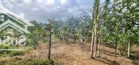 Bán Đất 41.433M2, Có 1200M2 Thổ Cư, Hẽm Ô Tô Đường Tỉnh Lộ 765B, Sông Ray, Cẩm Mỹ, Đồng Nai
