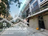 Bán Biệt Thự Tại Lộc Ninh Singashine, 8,45 Tỷ, 67,5M2, 5 Phòng Ngủ 4Wc