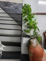 Mặt Tiền Kinh Doanh Ngay Tân Thới Nhất 17, Kinh Doanh Đa Ngành, Đúc 4 Lầu 4X19M, 10,5 Tỷ