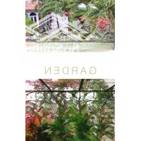 Bán Nhà Biệt Thự Hàng Hiếm Tại Đường Nguyễn Bình, 16 Tỷ, 465 M2, Thủ Dầu Một, Bình Dương