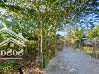 Lô Đất Full Thổ Phú Ân Nam 3, Diên An, Gần 23/10, Qh Rộng 13M, Pháp Lý Đầy Đủ