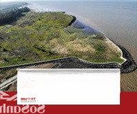 Đón Đầu Vingroup Cần Giờ, 13048M2 Full Thổ Cư, 3 Mặt Đường, Tách Được 100 Lô, Siêu Thơm.