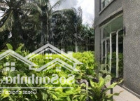 Tim Tường 82M2 2Pn 2 Vệ Sinhnhà Thoáng Mát 3.5 Tỉ ^^