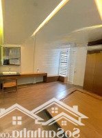Villa Mini Ngang Khủng 5M - - Hẻm Xe Hơi Thông - Cống Lở - Trần Thị Trọng, Phường 15, Quận Tân Bình