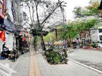 Bán Nhà Mặt Phố Đào Tấn - Vỉa Hè Rộng, 6 Tầng Thang Máy, Kinh Doanh Sầm Uất Giá Siêu Đẹp Chỉ 50 Tỷ