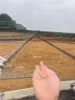 Đón Sóng Đấu Giá Tân Xã, Bất Động Sản Tân Xã Giá Đầu Tư Đất Đẹp