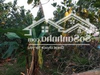 Bán Đất Vườn Nghỉ Dưỡng Sổ Hồng, Lô Góc Đường Bê Tông Ô Tô Chỉ 3 Triệu/M2 Cách Thanh Xuân Hơn 10Km