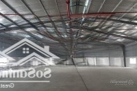 Cho Thuê Kho - Nhà Xưởng 600M2 - 800M2 - 1500M2 Trường Chinh - Cẩm Lệ, Đà Nẵng
