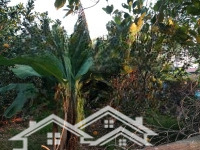 Bán 400M2 Đất Lô Góc 2 Mặt Đường Bê Tông, Cách Cầu Giấy Hơn 10Km, Có Sổ Hồng Giá Chỉ 3 Triệu/M2
