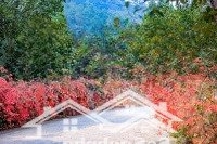 Bán Biệt Thự Thanh Xuân Valley, 8 Tỷ Vnd, 100M2, Cao Cấp Tại Ngọc Thanh, Phúc Yên, Vĩnh Phúc