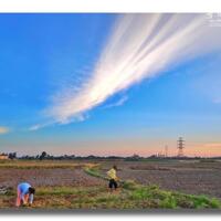 CHO THUÊ VĂN PHÒNG LÔ 2 - LÊ HỒNG PHONG . GIÁ 8USD/M2.