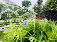 Bán Căn Góc 2 Mặt Đường Vị Trí Trung Tâm Flamingo Đại Lải Resort 446M2 Gần Mọi Tiện Ích