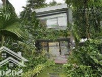Cần Bán Gấp Căn 242M2 Sổ Đỏ Lâu Dài, Full Nội Thất, 2 Phòng Ngủ Bể Bơi, Xông Hơi, Giá Qúa Tốt,