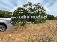 Bán Đất Nền Ở Bắc Bình Thích Hợp Làm Nhà Yến, Hoặc Nông Trại. Giá Đầu Tư Chỉ 599 Triệu Cho 3818M2