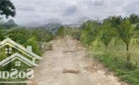 Chính Chủ Bán 848M2 Đất Tại Thôn Sấu Thượng, Thanh Cao, Lương Sơn, Hoà Bình