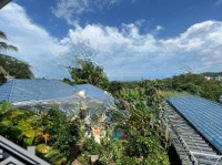 Bán Resort 1000M2 Đất, 20 Phòng Tại Phố Du Lịch Trần Hưng Đạo, Phú Quốc, Kinh Doanh Tốt