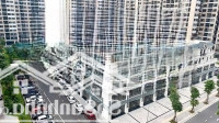 Gà Đẻ Trứng Vàng(Chờ 5 Năm Vinhomes Cũng Mở Bán)Shop Tmdv 50 Năm - Cho Thuê 200 Triệu/ Tháng. Vvip