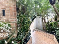Bán Nhà Phạm Huy Thông Dòng Tiền 3 Tỷ/Năm, Ba Đình, 130M2,Thang Máy, Mt9M, Ô Tô Đỗ, Chỉ Hơn 57 Tỷ