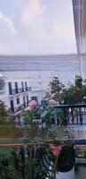 Góc 2 Mặt Tiền _ Sát Vincom Plaza Tuy Hoà Giá Bán 10,5 Tỷ