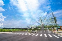 Bán Nhanh Lô Đất Đẹp Kđt Đại Cương. Giá Tốt Từ 2.8 Tỷ - 4 Tỷ/ Lô Liên Hệ:. 0933831661