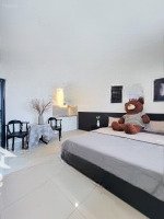 Dự Án Mới Siêu Ngon Studio Thiết Kế Sang Trọng Full Nội Thất Mới Có Cửa Sổ Trời Thoáng Mát