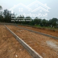 Bán Đất Thanh Sơn Lương Sơn Hoà Bình 
Chỉ 2Xxx Tr / M Cho Các Nhà Đầu Tư 0889123113