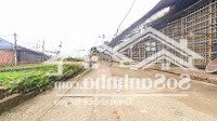 130M Lô Góc Quá Rẻ, Thôn 5 Phú Cát, Kcn Cách 200M, Xung Quanh Tân Xã, Bình Yên Giá 45 - 50 Triệu