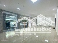 Cho Thuê Nhà Mặt Phố Nguyên Hồng 70M2 X 6 Tầng Thông Sàn Thang Máy Ô Tô Tránh. Giá 36 Triệu/Th