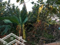 Bán 400M2 Đất Nghỉ Dưỡng Lô Góc 2 Mặt Đường Bê Tông, Sổ Hồng Giá Chỉ 3 Triệu/M2