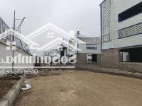 Cho Thuê Nhà Xưởng Tiêu Chuẩn Tại Thái Bình Phù Hợp Doanh Nghiệp Fdi Diện Tích: 6500M2