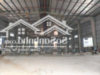 Cho Thuê Nhà Xưởng Tiêu Chuẩn Tại Thái Bình Phù Hợp Doanh Nghiệp Fdi Diện Tích: 6500M2