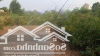 Giá Siêu Hời - Nền 460M2, Giá Bán 18 Tỷ, Bưng Ông Thoàn, Phú Hữu, Quận 9, Hcm