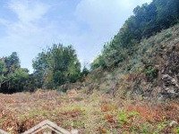 Bán 2435 M2 Đất Khu Du Lịch Mũi Nai, Mặt Tiền 60M, Sổ Đỏ Sẵn, Liên Hệ: 0898808221