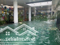 Bán Nhà Liễu Giai Dòng Tiền 3 Tỷ/Năm, Ba Đình, 130M2,Thang Máy, Mt7M, Ô Tô Đỗ, Chỉ Hơn 60 Tỷ
