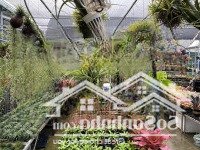 Bán Trang Trại, Khu Nghỉ Dưỡng Tại Đông Anh, Hà Nội Diện Tích 6000M2 ,Sổ Đỏ Chính Chủ
