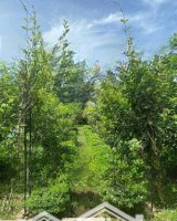 Bán Đất Hòa Ninhh, Hòa Vang, Đà Nẵng Thích Hợp Làm Farm Nghỉ Dưỡng Du Lịch, Liên Hệ: 0934888092