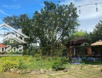 Bán Đất Hòa Ninhh, Hòa Vang, Đà Nẵng Thích Hợp Làm Farm Nghỉ Dưỡng Du Lịch, Liên Hệ: 0934888092
