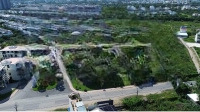 Đất Mặt Tiền Bưng Ông Thoàn, Lô Gócdiện Tích103M2 Giá Bán 7,5 Tỷ Phú Hữu Quận 9 Hcm