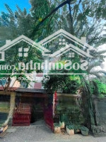 Duy Nhất 1 Căn Bán Trong Khu Vực Biệt Thự Kinh Doanh Vỉa Hè Ô Tô Tránh Giá Cực Tốt.