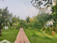 Đơn Lập Villa Park, Căn Hiếm Phân Khúc 30Tỷ