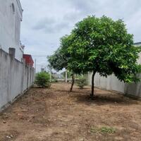 CHÍNH CHỦ BÁN 254M2 ĐẤT (CÓ 122M2 THỔ) TẠI XÃ TÂN NHỰT, BÌNH CHÁNH, 3.6 TỶ TL. LH:0902453616.
