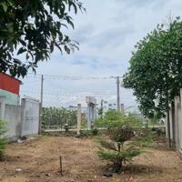 CHÍNH CHỦ BÁN 254M2 ĐẤT (CÓ 122M2 THỔ) TẠI XÃ TÂN NHỰT, BÌNH CHÁNH, 3.6 TỶ TL. LH:0902453616.
