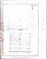 Mặt Tiền Phan Đình Phùng - Khu Vip Tân Thành - Tân Phú - 8X29M - Dtcn 233M2 - Giá Bán 24 Tỷ Tl